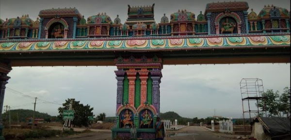 How to Reach the Medaram Jathra